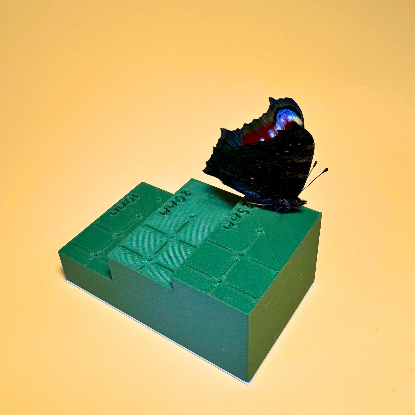 Bloc d'épinglage d'insectes