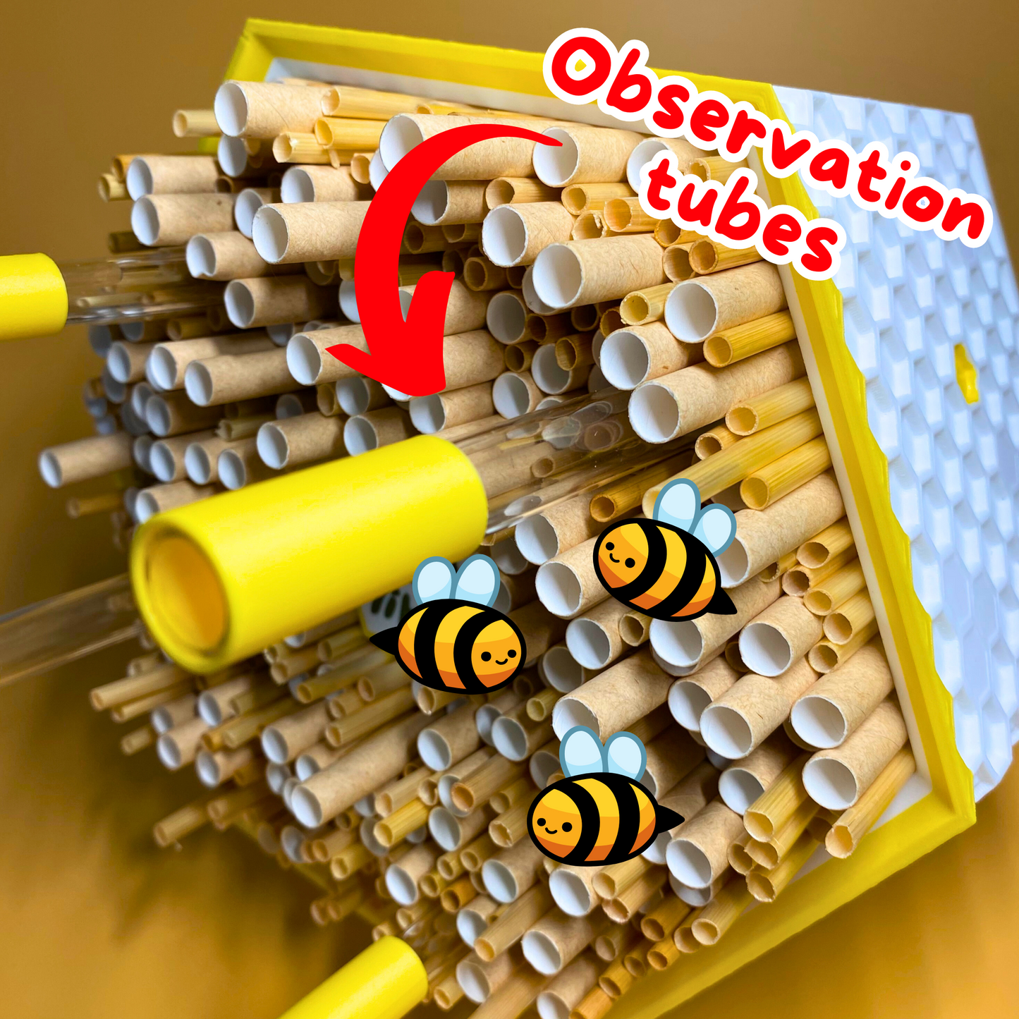 SoliBuzz - hôtel pour abeilles solitaires