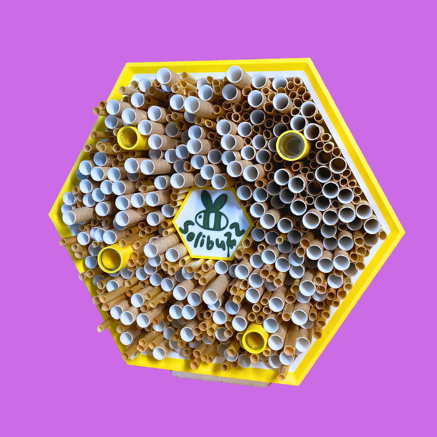 SoliBuzz - hôtel pour abeilles solitaires