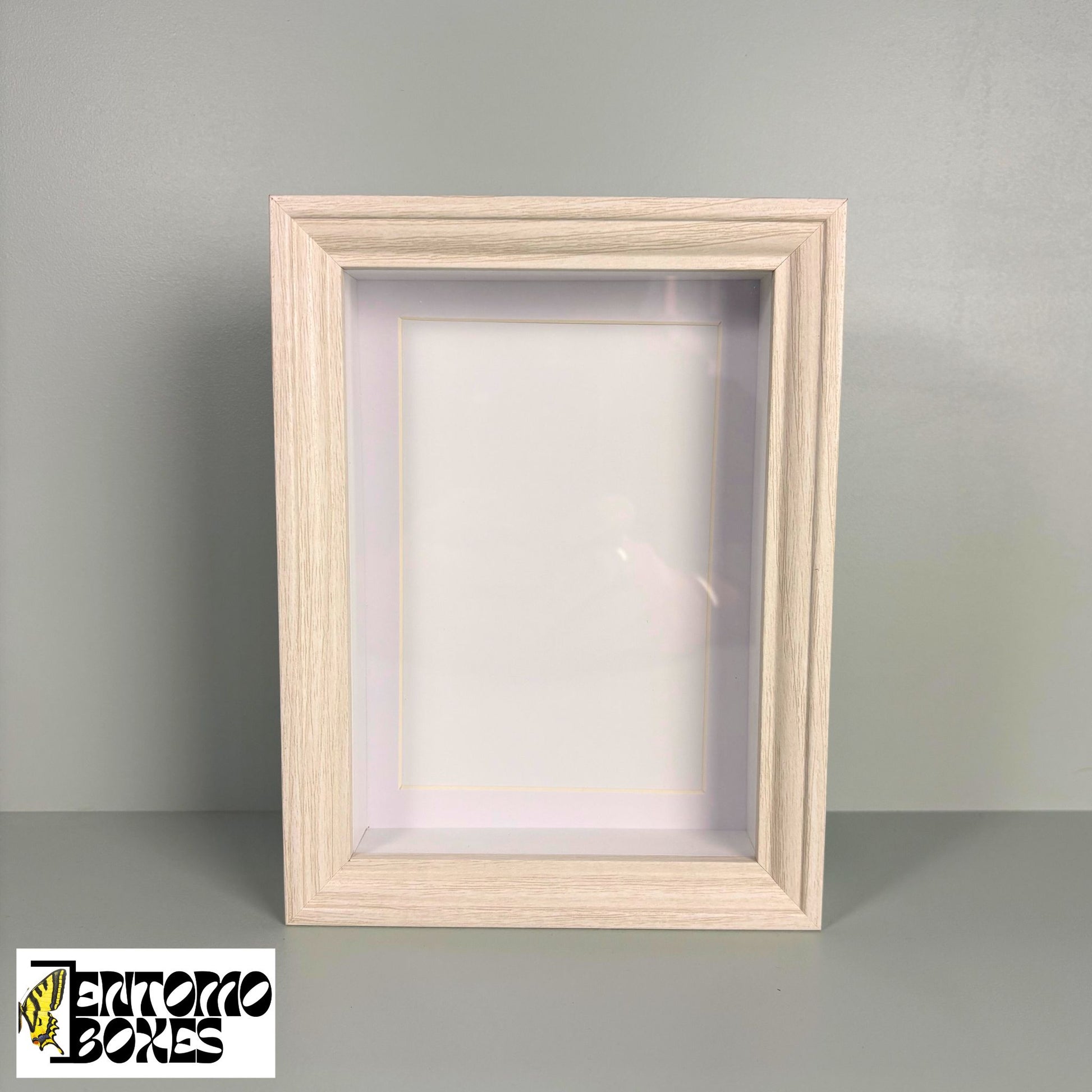 deep shadow box for insect