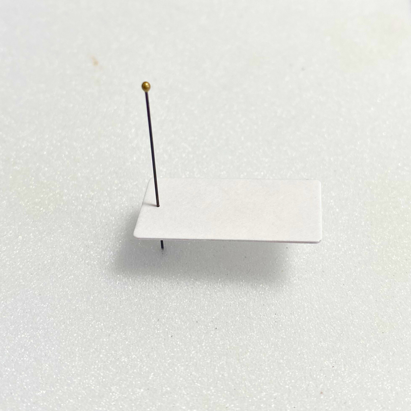 insect mounting cards