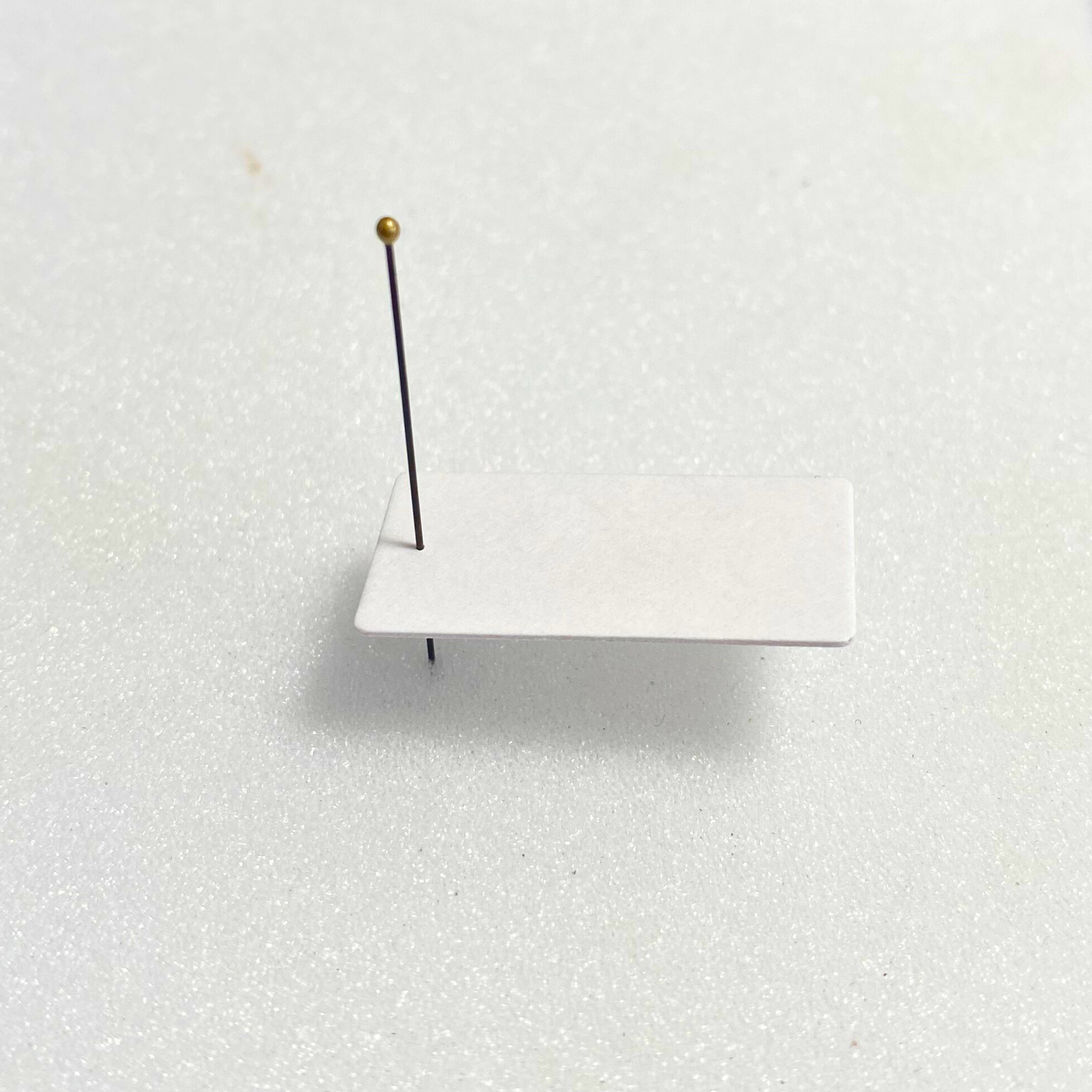 insect mounting cards
