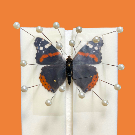 self-healing foam board