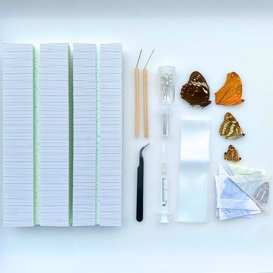 butterfly collection kit