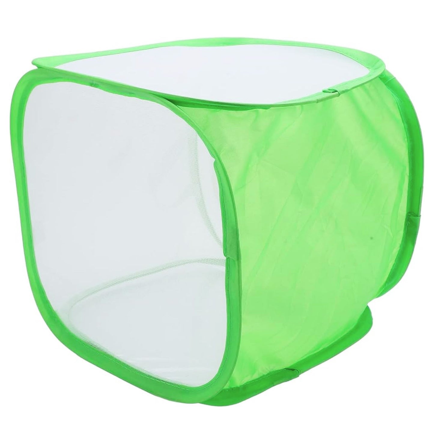insect enclosure