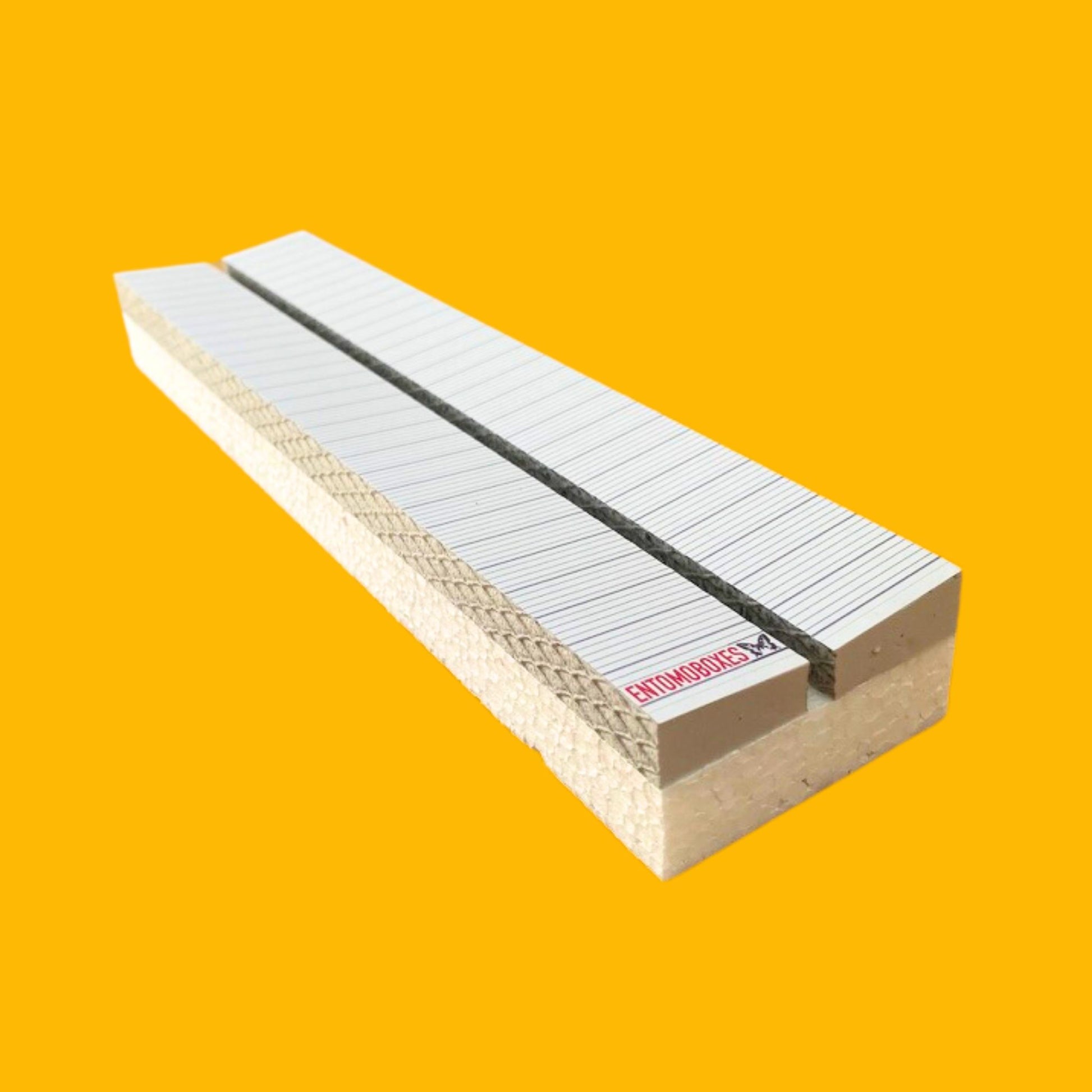 butterfly spreading board