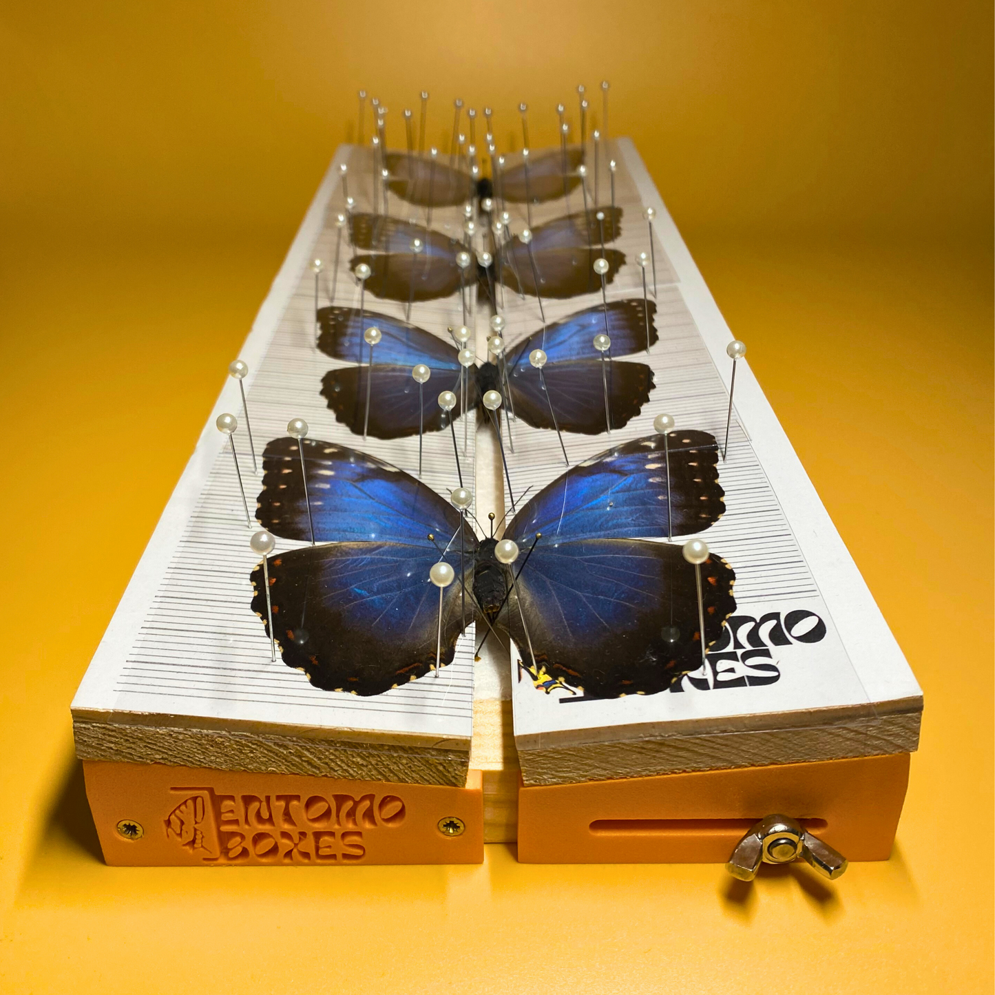 adjustable spreading board