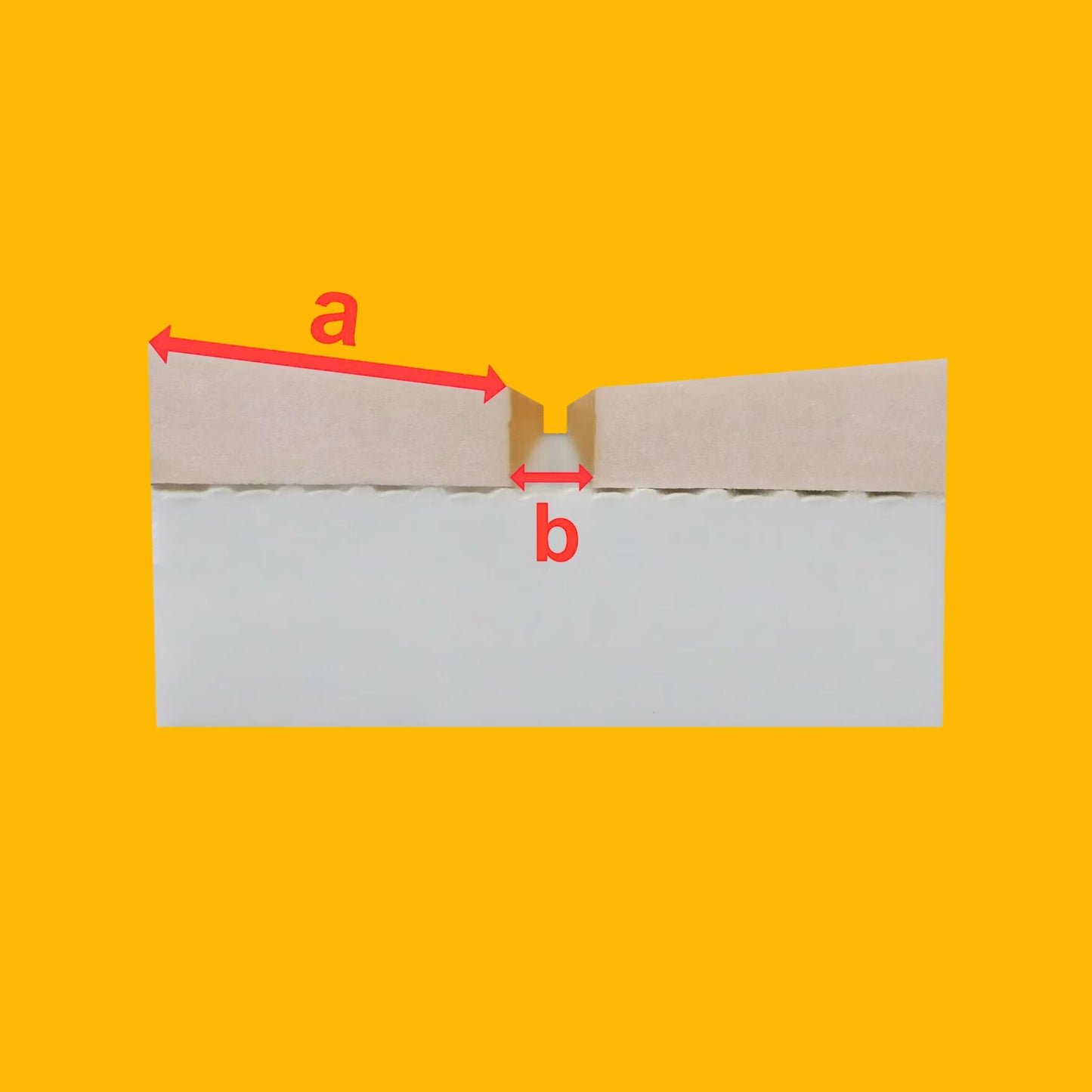 butterfly pinning board