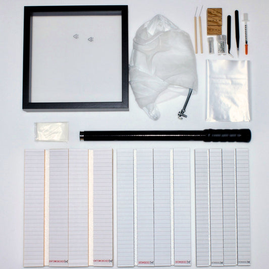 butterfly collecting kit