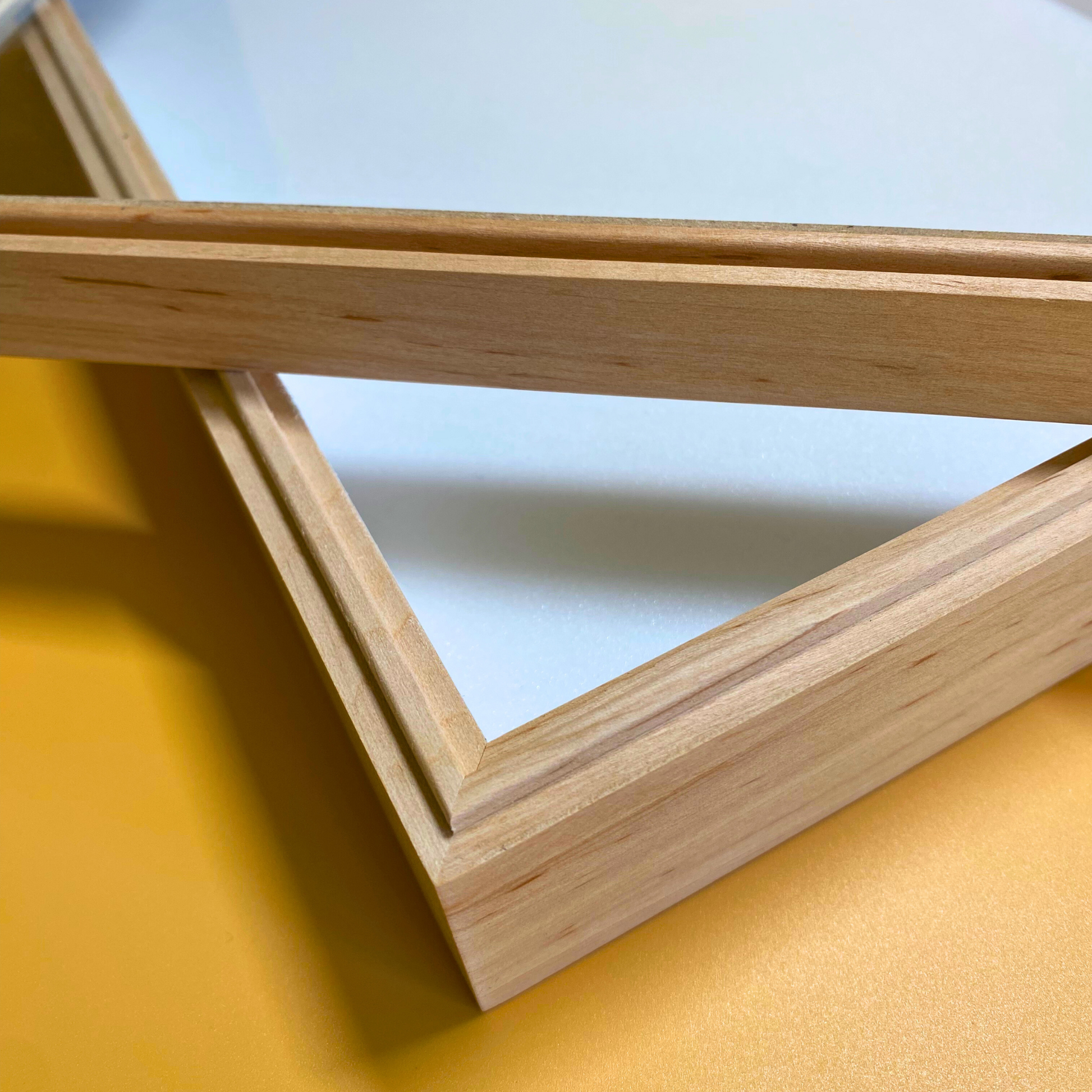 insect display frame