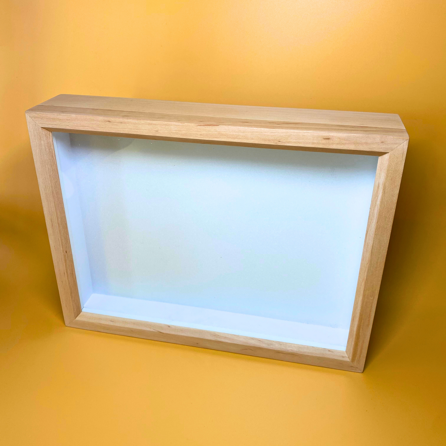 butterfly display box