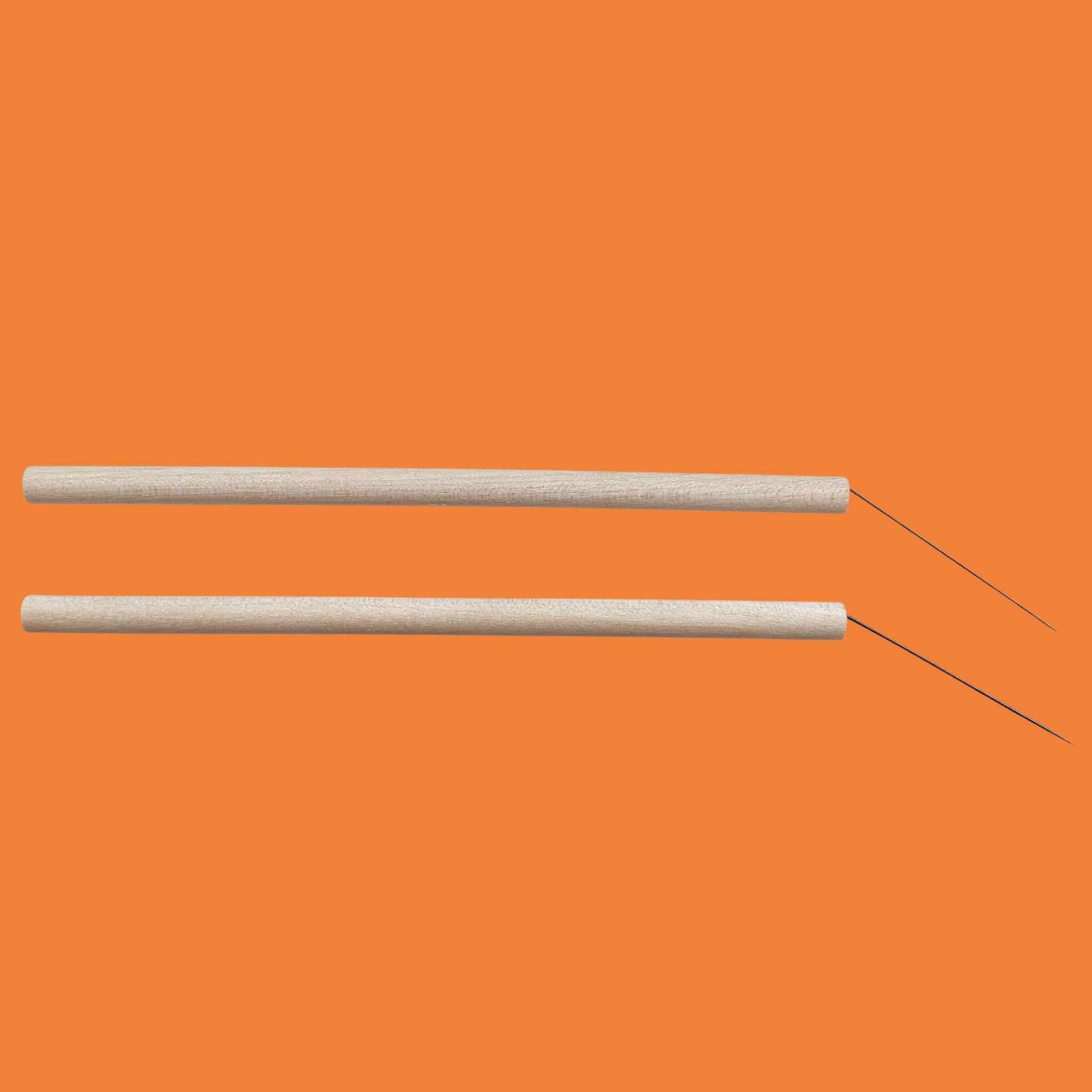 entomology insect needle