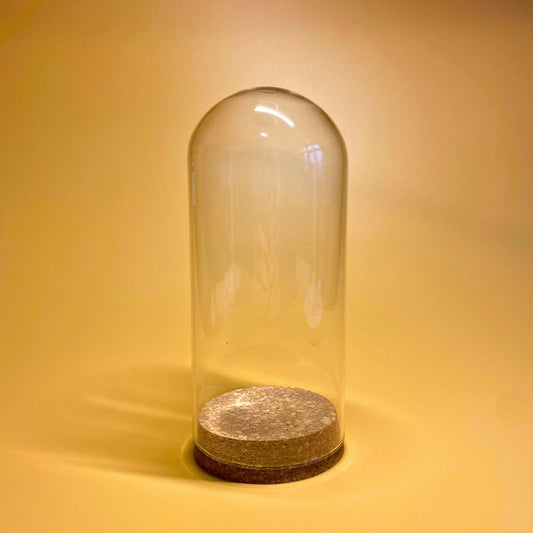 insect glass display dome