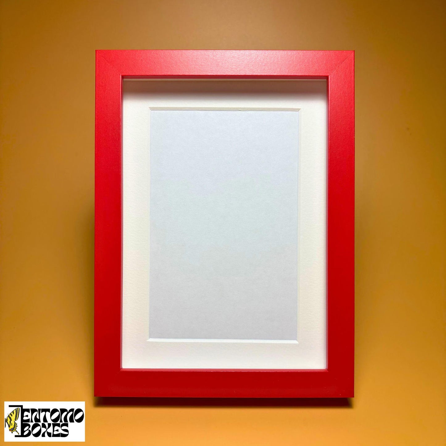 Boîte d'ombre pour insectes