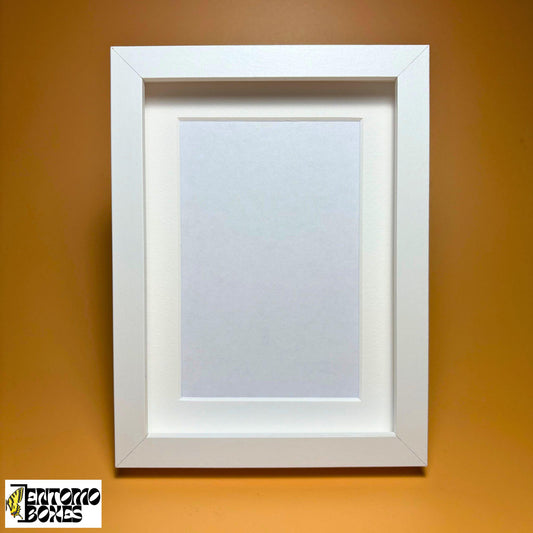 Boîte d'ombre pour insectes