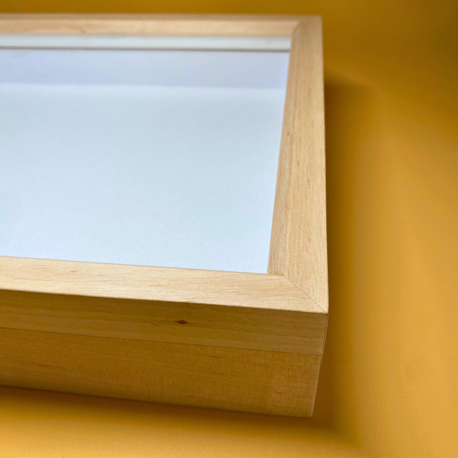 entomology display frame