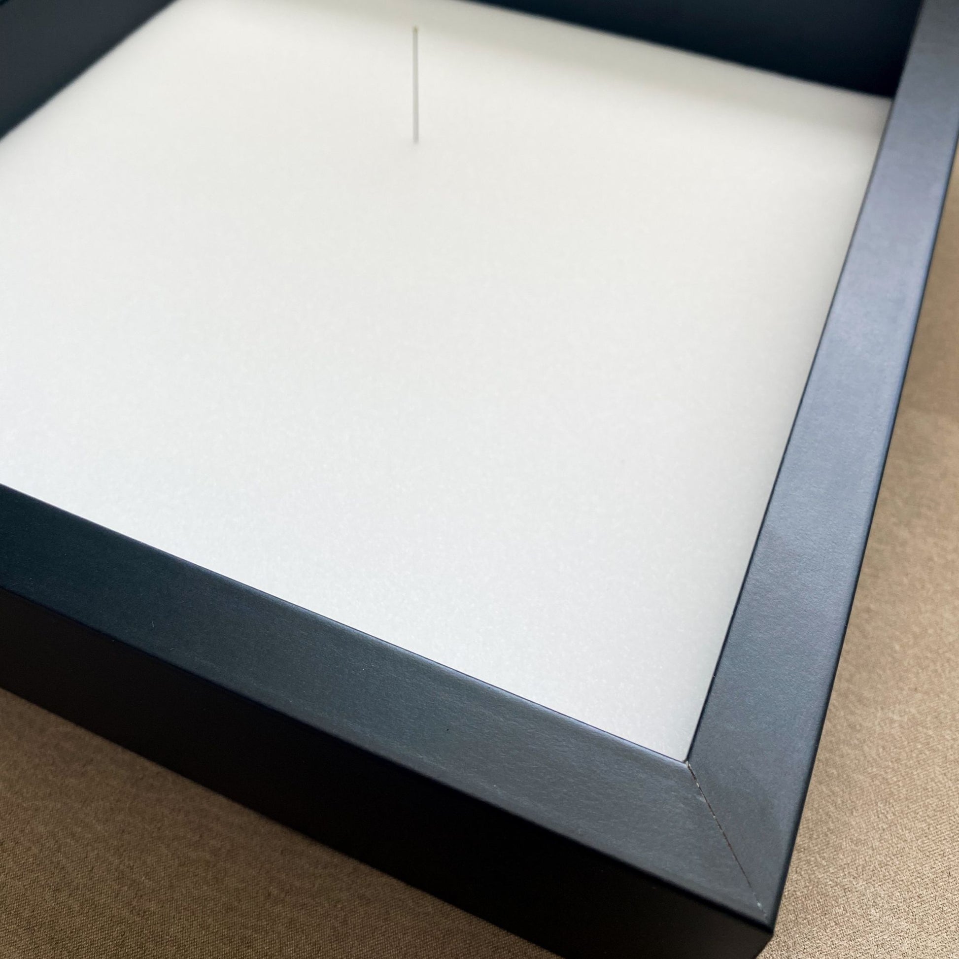 insect display frame