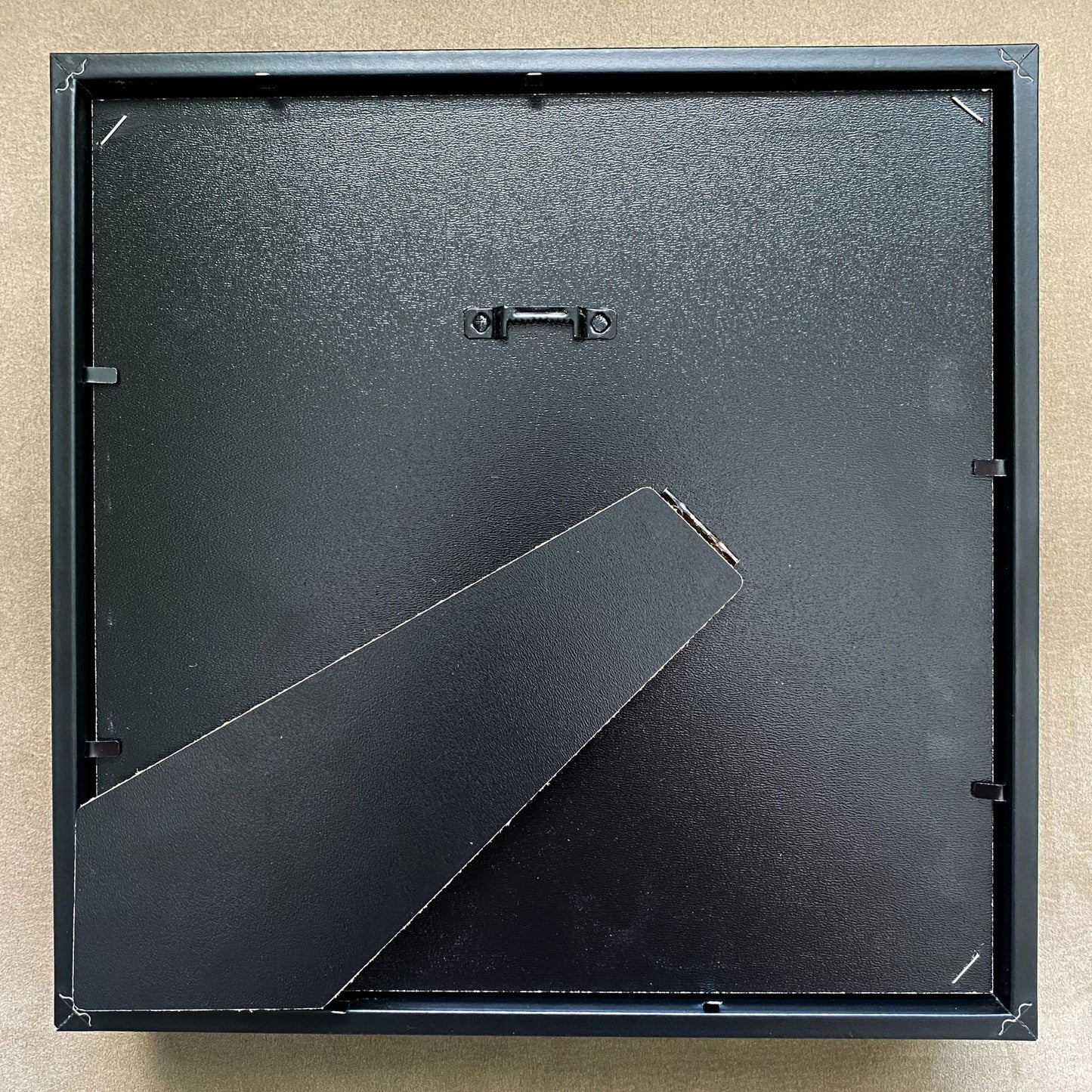 insect display frame