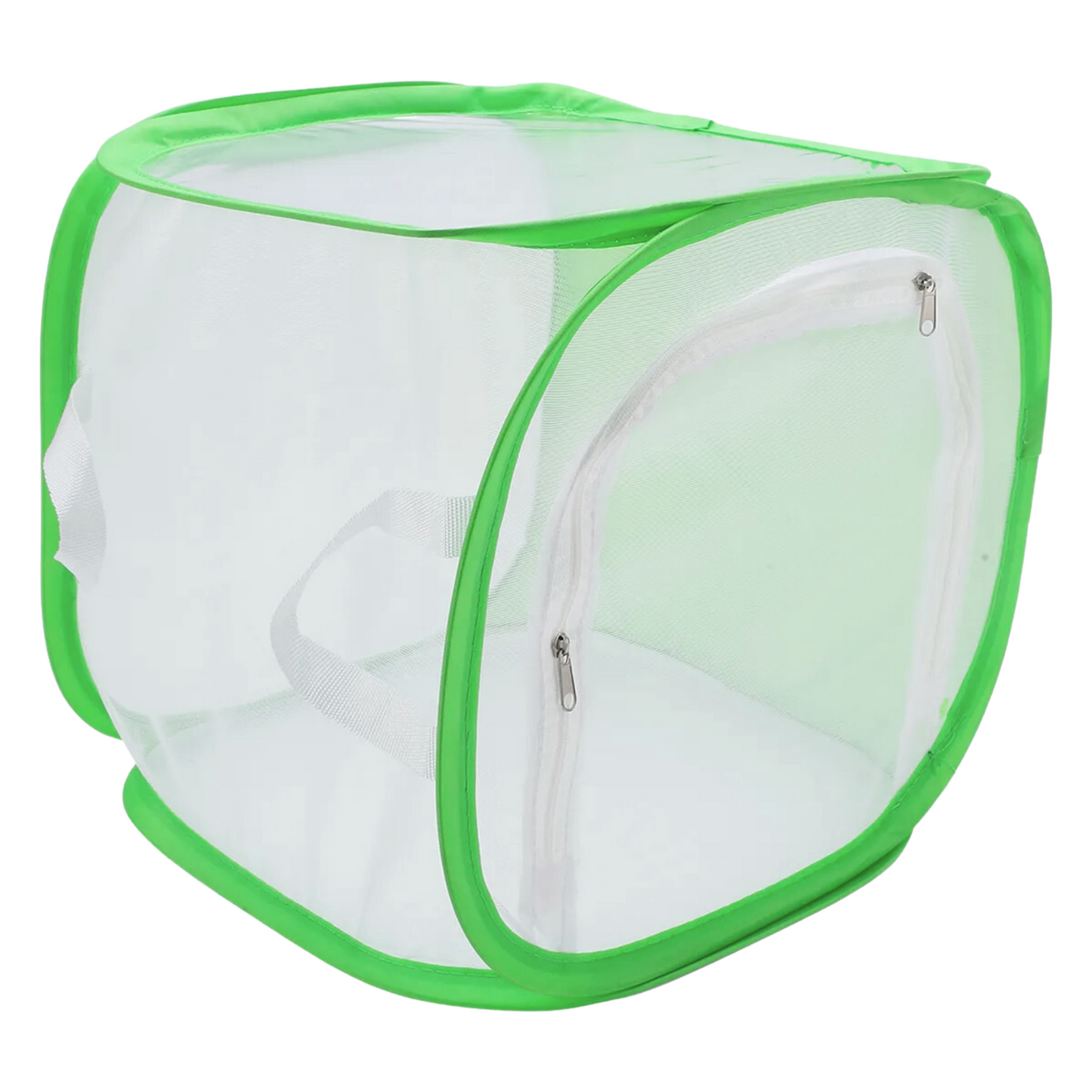 foldable insect mesh cage