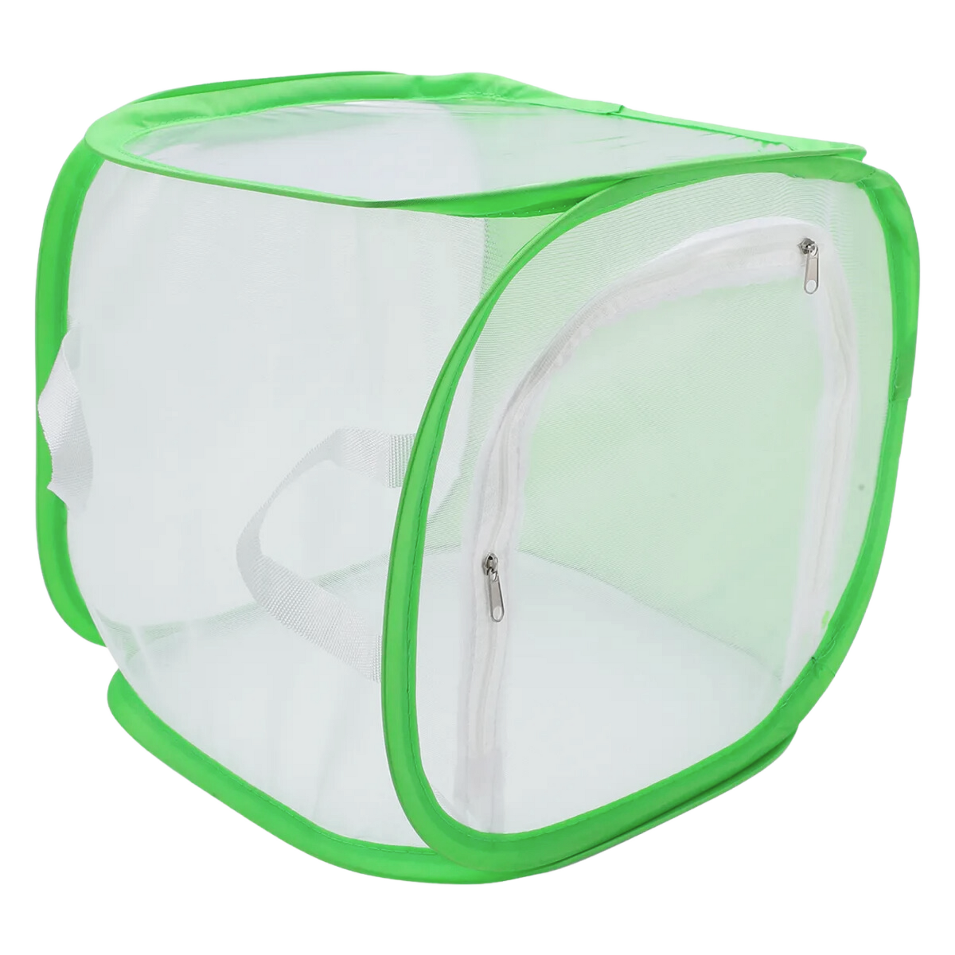 foldable insect mesh cage