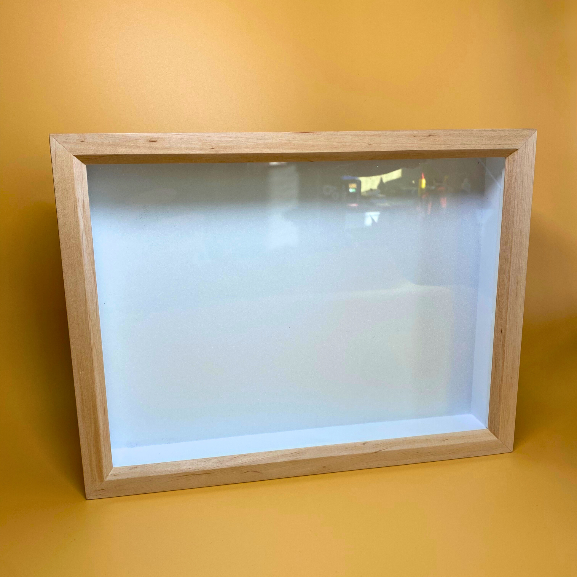 butterflies display frame