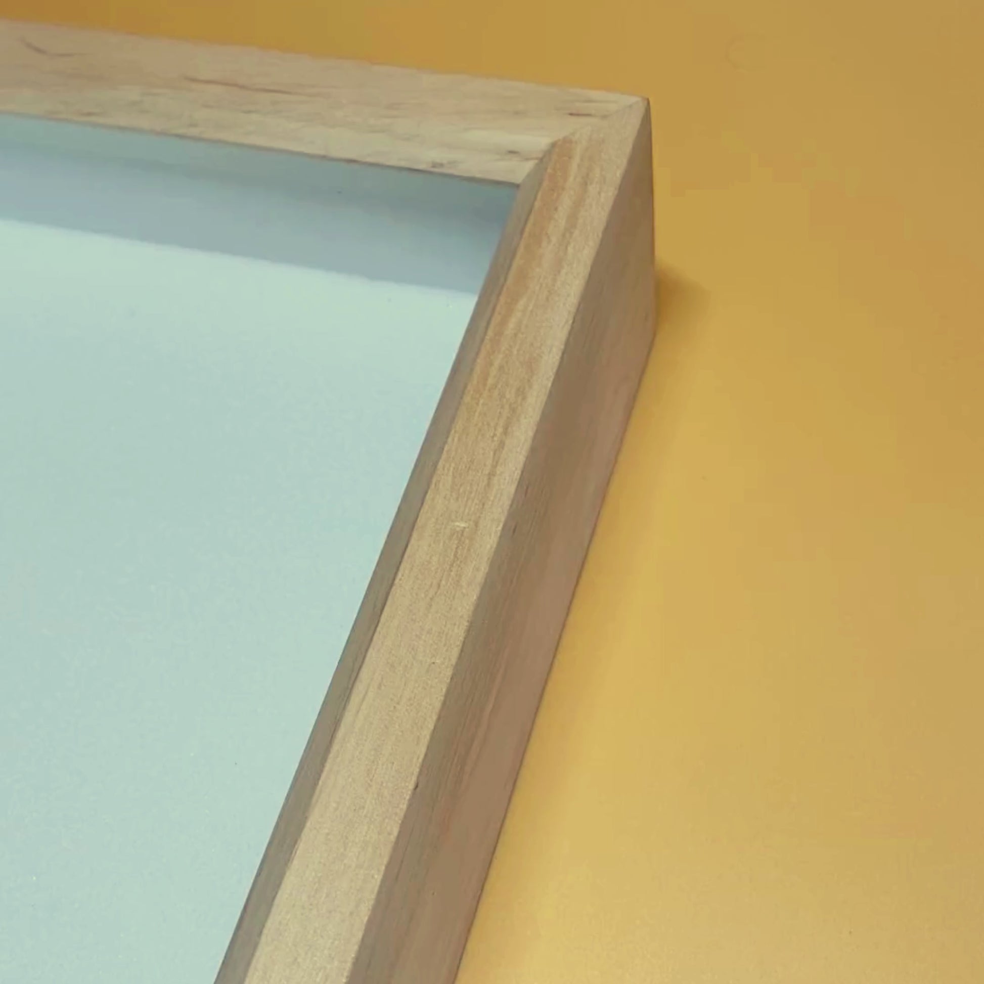 insect display frame