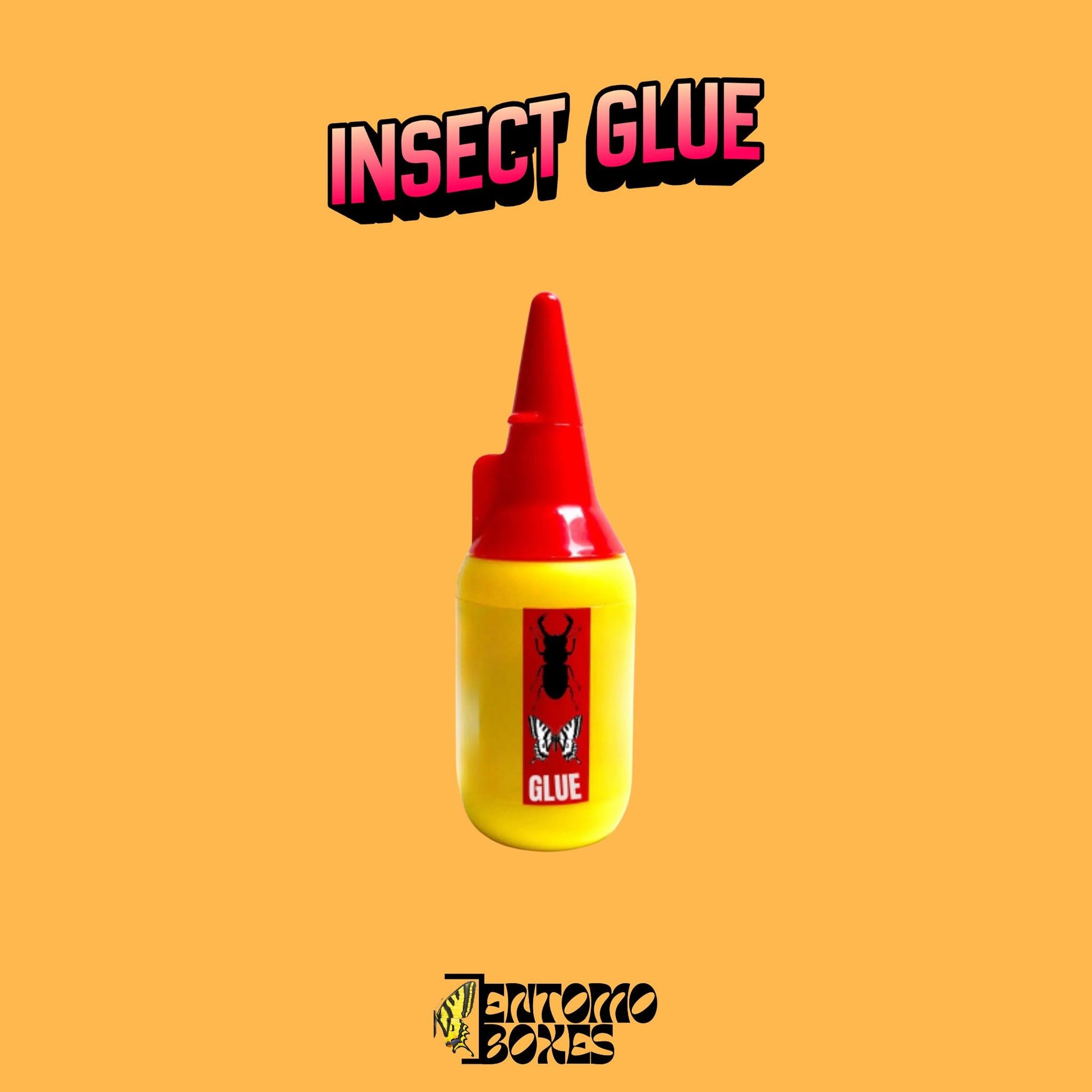 Butterfly collection starting kit with complete guide entomology moth taxidermy