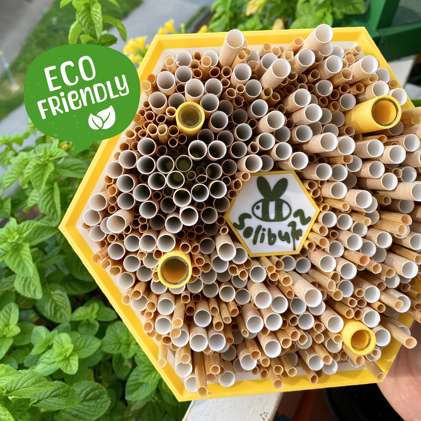 SoliBuzz - hôtel pour abeilles solitaires