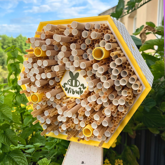 SoliBuzz - hôtel pour abeilles solitaires