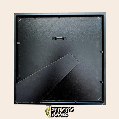 Insect shadow display frame for entomology taxidermy collection