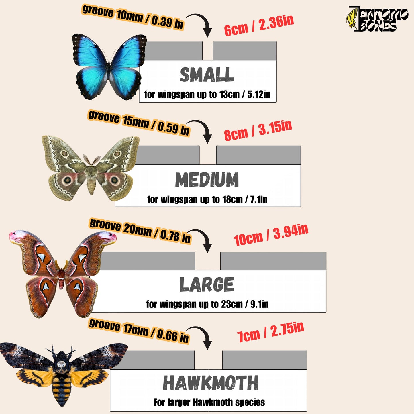 Large Flat Butterfly Pinning Board Butterflies Moths Insects taxidermy entomology