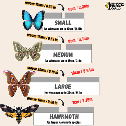 Large Flat Butterfly Pinning Board Butterflies Moths Insects taxidermy entomology