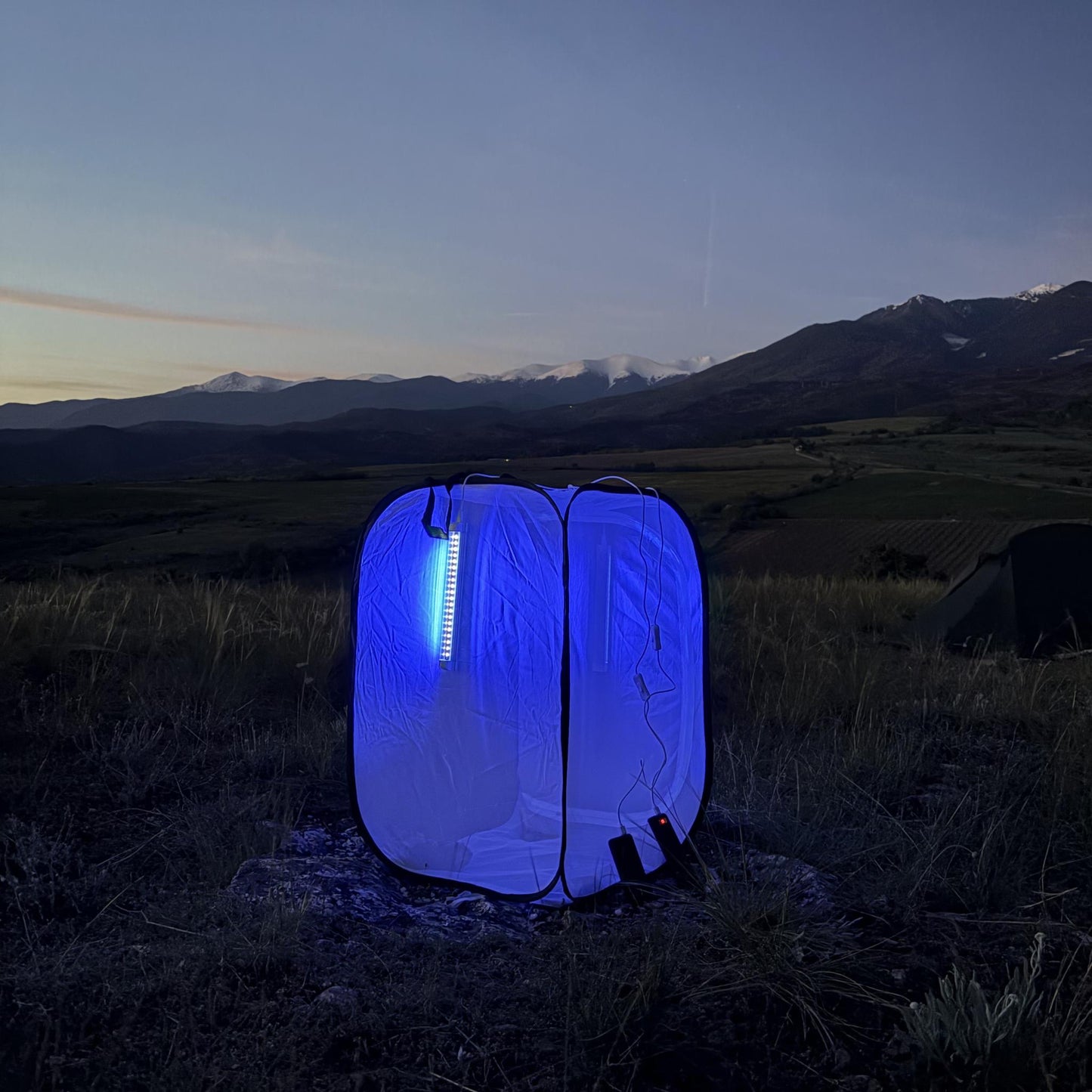 led light for attracking moths and insects during the night __etsy:8118120333
