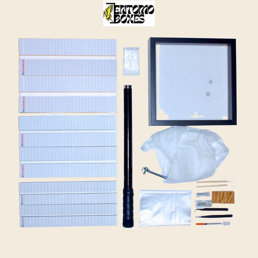 PRO Butterfly Collector starting KIT entomology collection insect catching