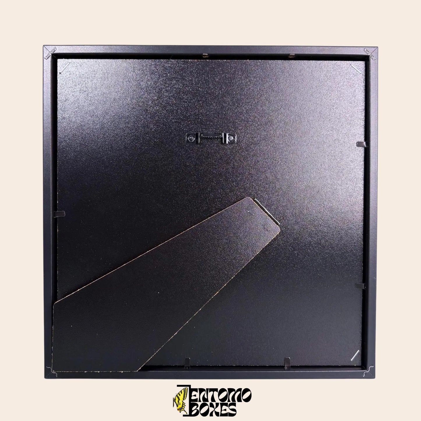 four papilio rumanzovia and one orange and yellow butterfly in black frame