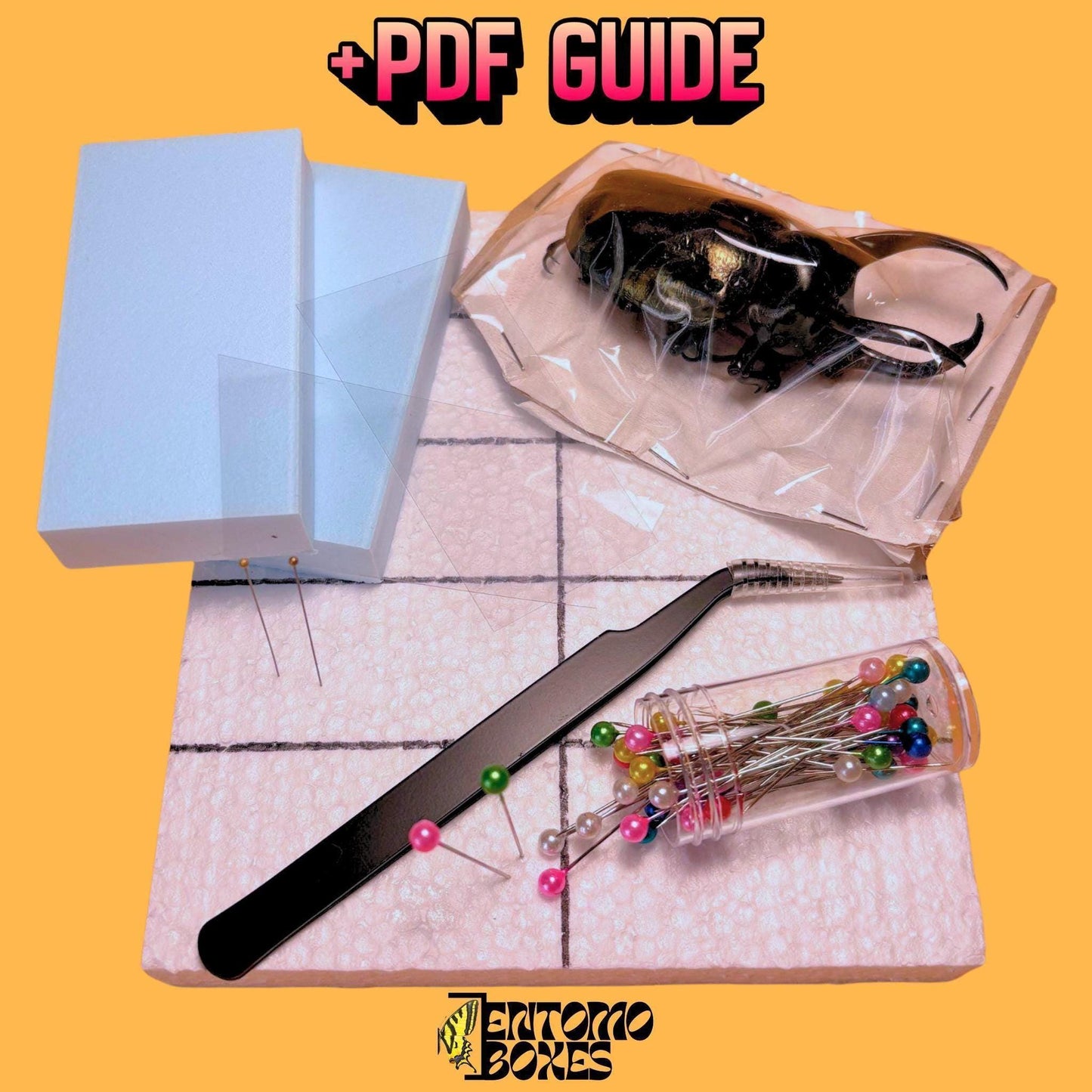 beetle pinning kit