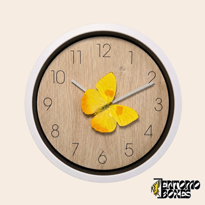 Horloge murale blanche au cadran effet bois clair avec un vrai papillon jaune Phoebis philea sur l'aiguille des minutes, vue de face