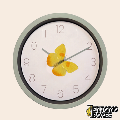 Horloge murale vert sauge au cadran blanc avec un vrai papillon Phoebis philea sur l'aiguille des minutes, vue de face