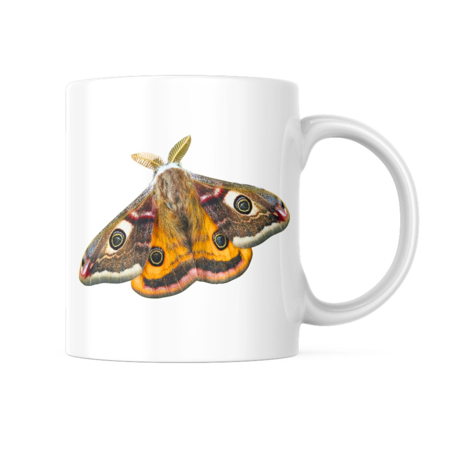 butterfly ceramic mug
