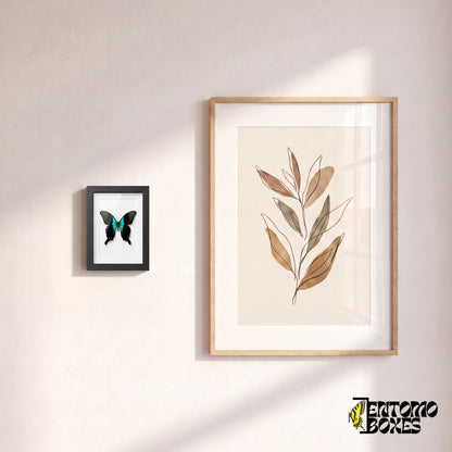 Petit porte-queue Peranthus encadré accroché au mur à côté d'une affiche botanique