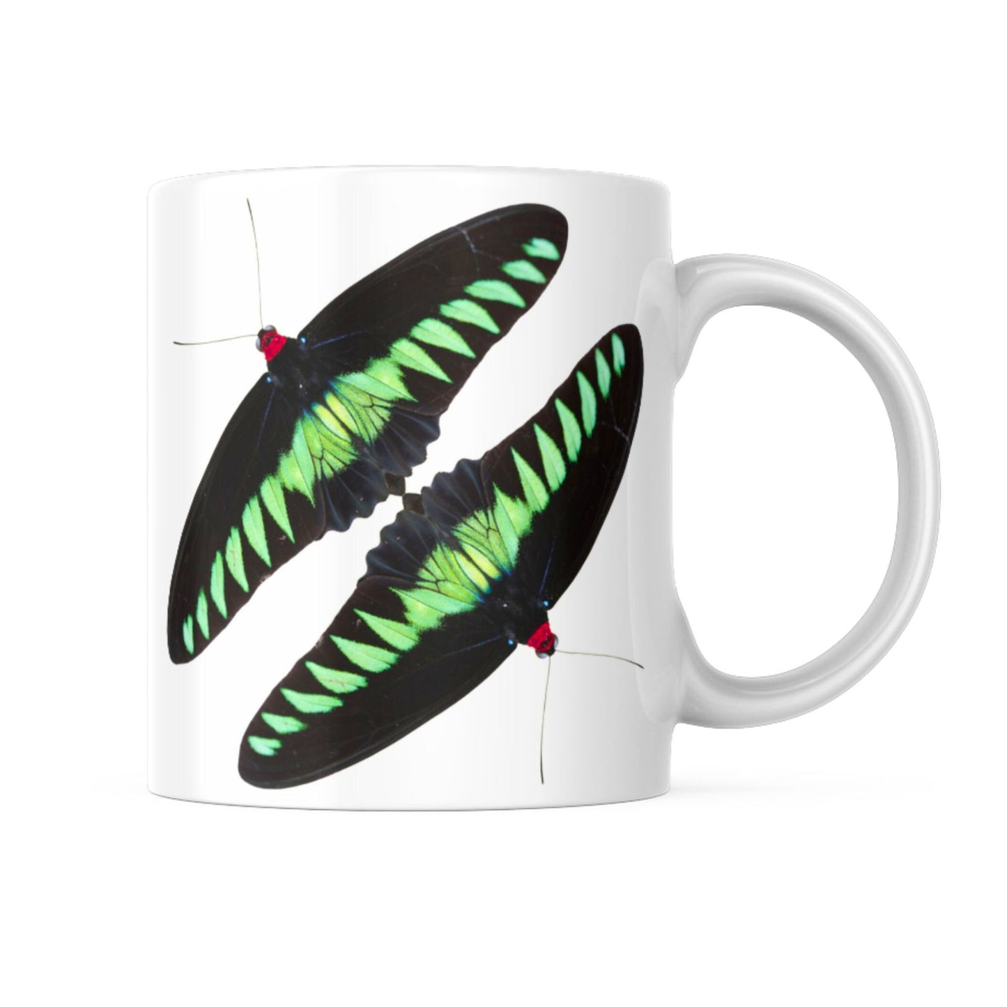 EntomoBoxes papillon-themed tasse en céramique, cadeau idéal pour entomologie et nature enthusiasts