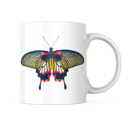 EntomoBoxes papillon-themed tasse en céramique, cadeau idéal pour entomologie et nature enthusiasts