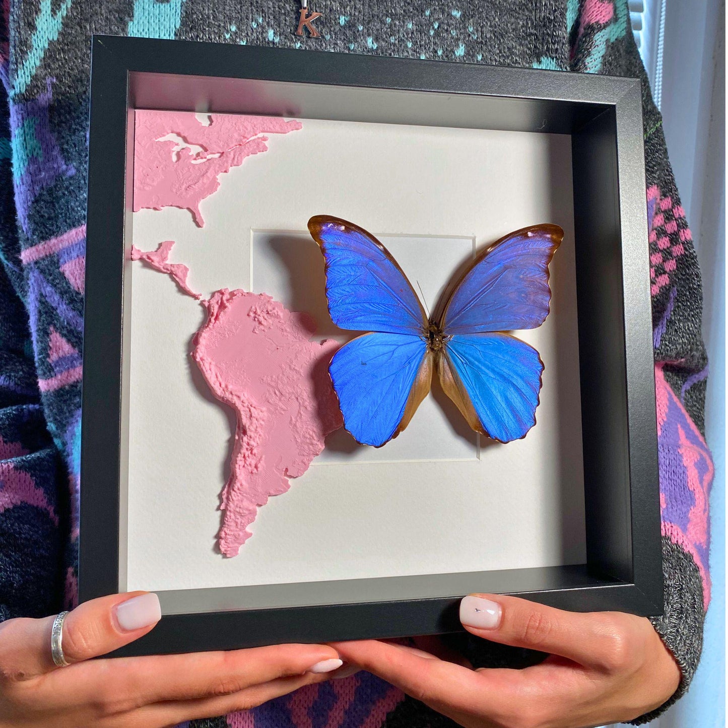 morpho didius tropical papillon dans un cadre avec 3D printed map de south america