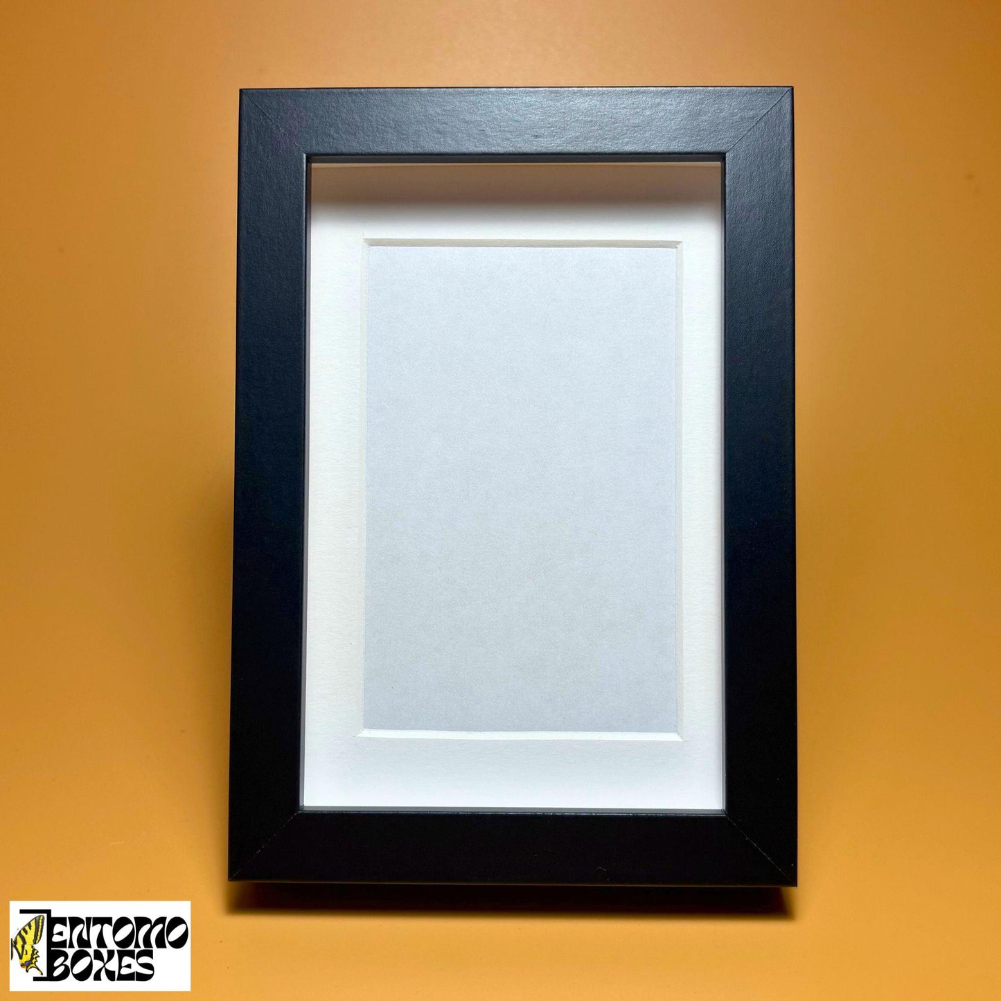 Boîte d'ombre pour insectes