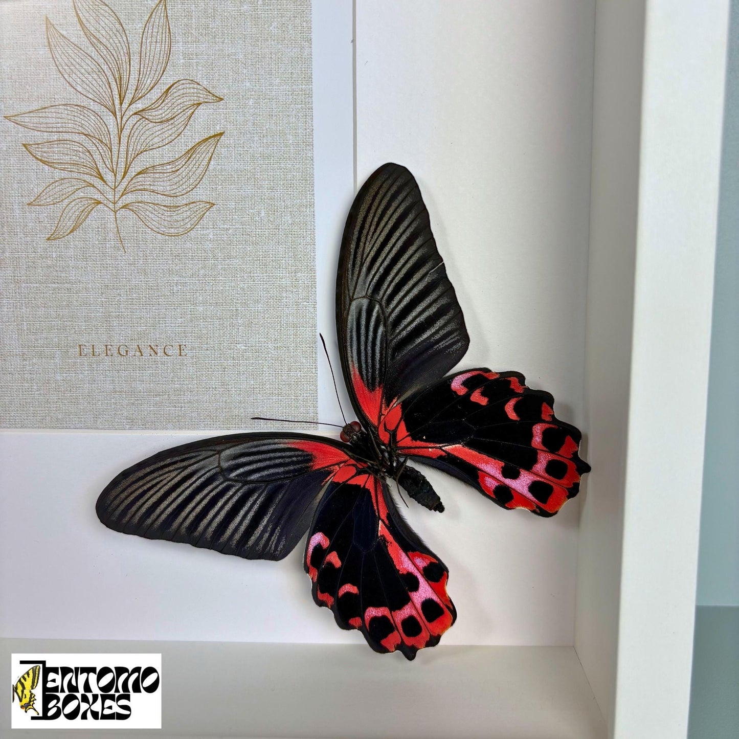 picture frame avec papillons