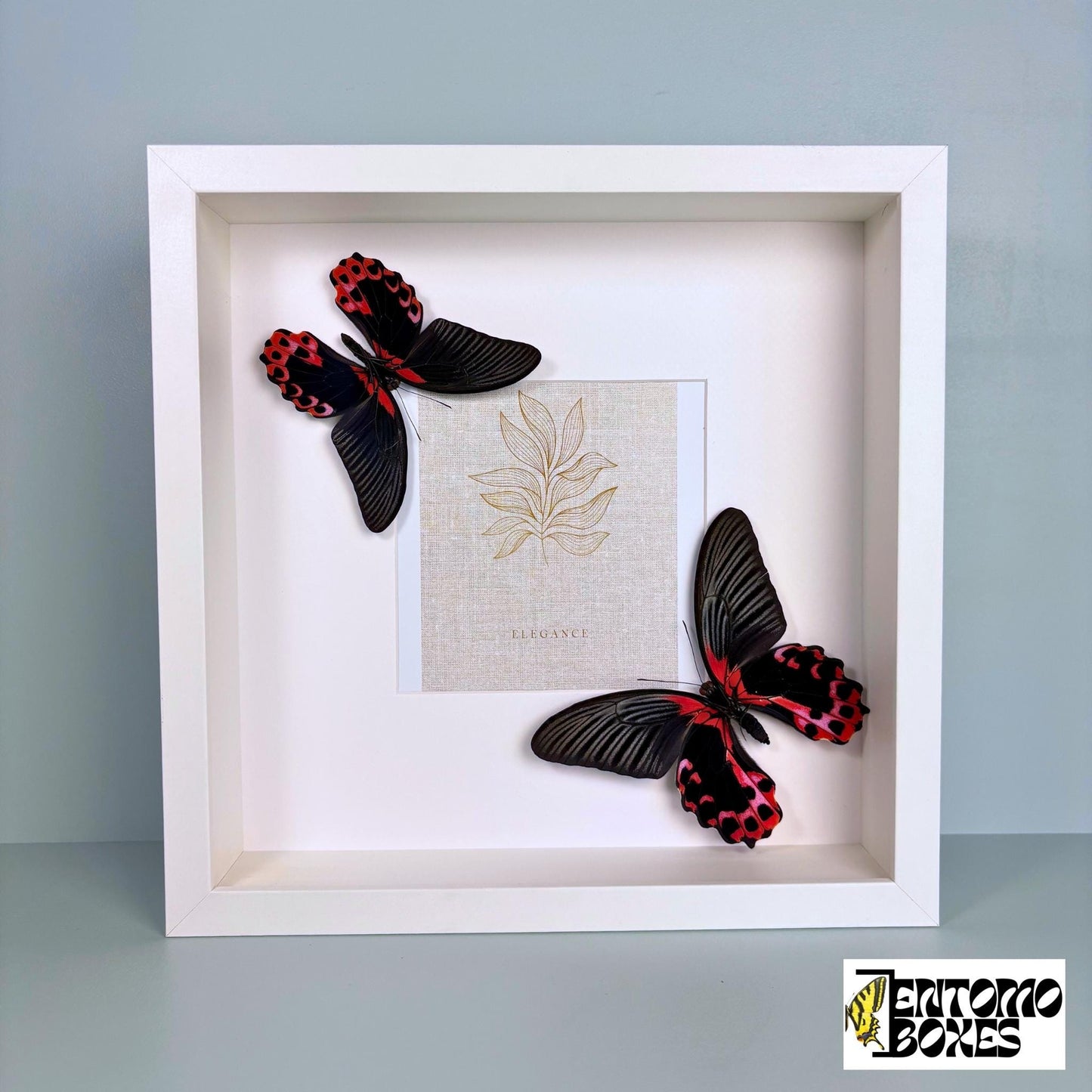photo frame avec papillons