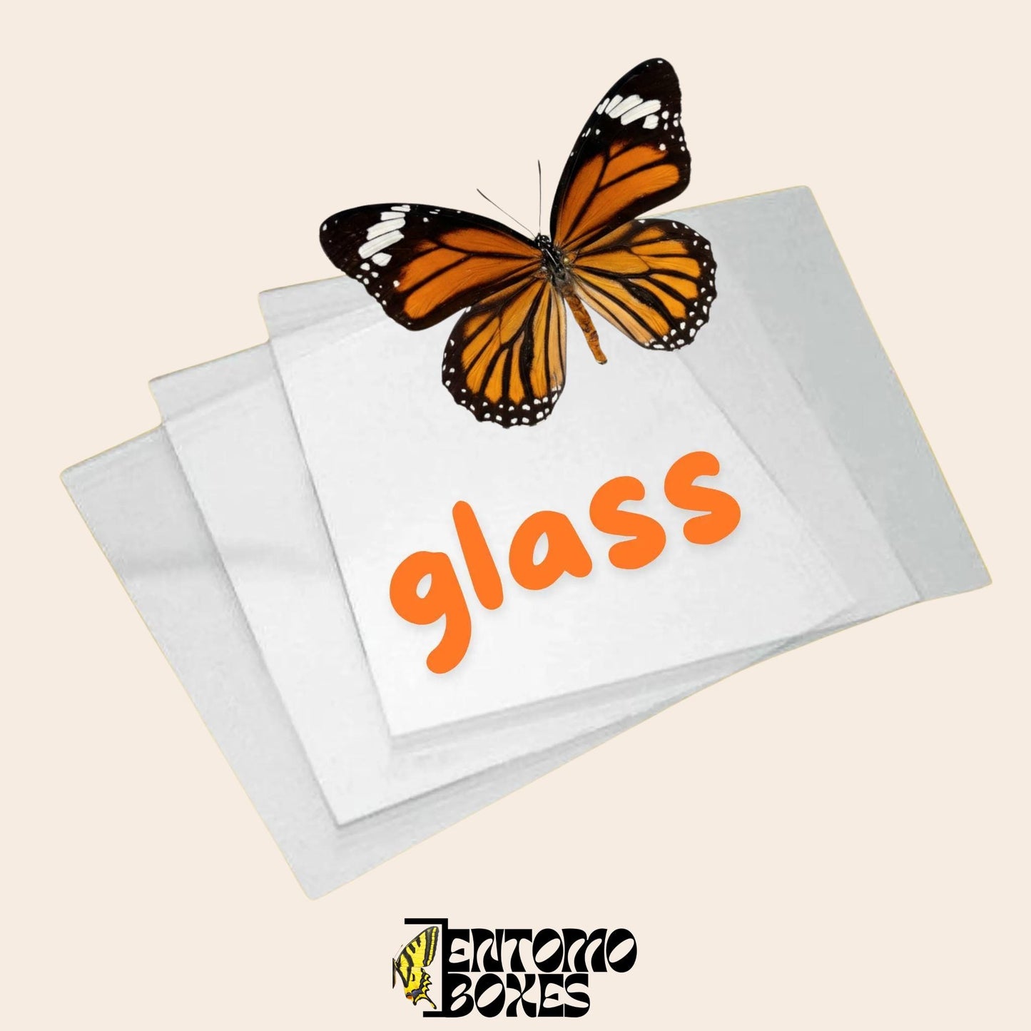 lames de verre pour étalage de papillons
