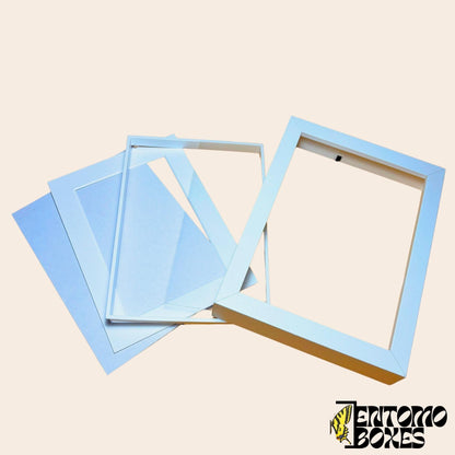 Wooden cadre profond pour vitrine entomologique, fait main par EntomoBoxes pour papillon spécimens