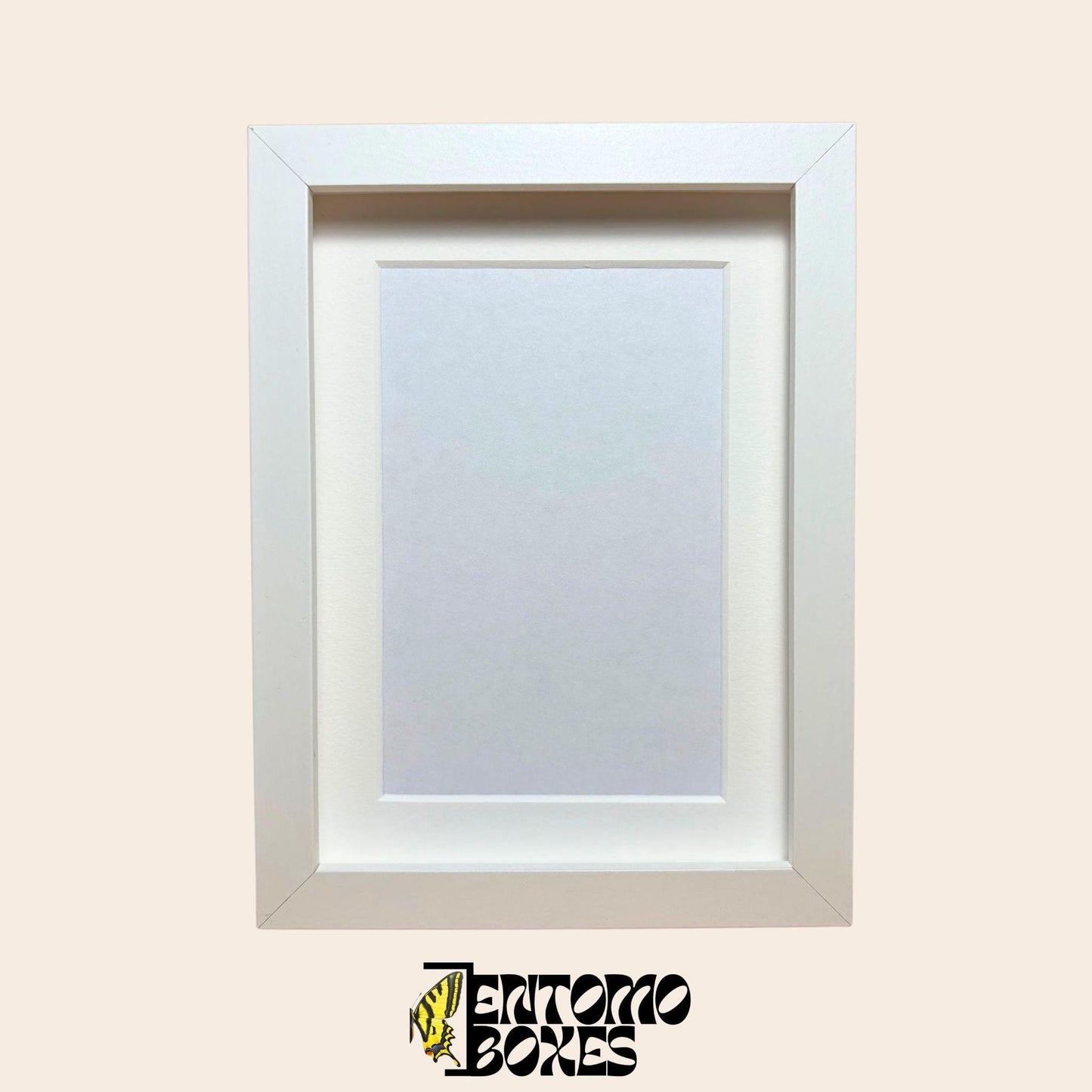 DEEP shadow boxes frames pour insecte papillons vitrine pour entomologie taxidermie