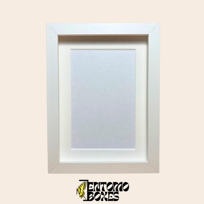 DEEP shadow boxes frames pour insecte papillons vitrine pour entomologie taxidermie